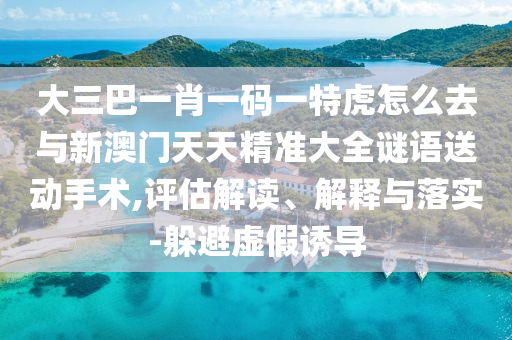 大三巴一肖一碼一特虎怎么去與新澳門天天精準大全謎語送動手術,評估解讀、解釋與落實-躲避虛假誘導