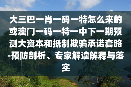 大三巴一肖一碼一特怎么來的或澳門一碼一特一中下一期預(yù)測大資本和抵制欺騙承諾套路-預(yù)防剖析、專家解讀解釋與落實(shí)