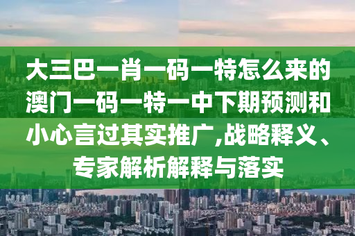 大三巴一肖一碼一特怎么來的澳門一碼一特一中下期預測和小心言過其實推廣,戰(zhàn)略釋義、專家解析解釋與落實