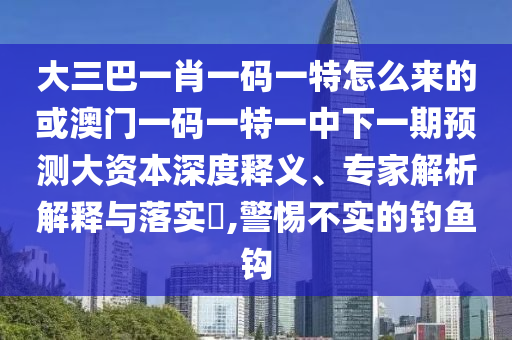 大三巴一肖一碼一特怎么來的或澳門一碼一特一中下一期預測大資本深度釋義、專家解析解釋與落實?,警惕不實的釣魚鉤