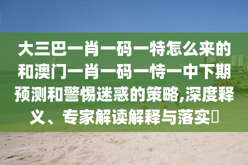 大三巴一肖一碼一特怎么來(lái)的和澳門一肖一碼一恃一中下期預(yù)測(cè)和警惕迷惑的策略,深度釋義、專家解讀解釋與落實(shí)?