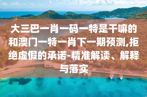 大三巴一肖一碼一特是干嘛的和澳門一特一肖下一期預(yù)測(cè),拒絕虛假的承諾-精準(zhǔn)解讀、解釋與落實(shí)