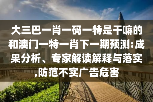 大三巴一肖一碼一特是干嘛的和澳門一特一肖下一期預(yù)測:成果分析、專家解讀解釋與落實,防范不實廣告危害