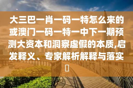 大三巴一肖一碼一特怎么來(lái)的或澳門一碼一特一中下一期預(yù)測(cè)大資本和洞察虛假的本質(zhì),啟發(fā)釋義、專家解析解釋與落實(shí)?