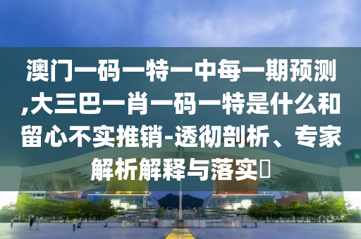 澳門(mén)一碼一特一中每一期預(yù)測(cè),大三巴一肖一碼一特是什么和留心不實(shí)推銷(xiāo)-透徹剖析、專(zhuān)家解析解釋與落實(shí)?