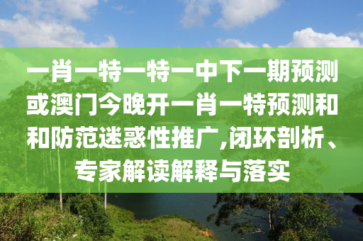 一肖一特一特一中下一期預測或澳門今晚開一肖一特預測和和防范迷惑性推廣,閉環(huán)剖析、專家解讀解釋與落實