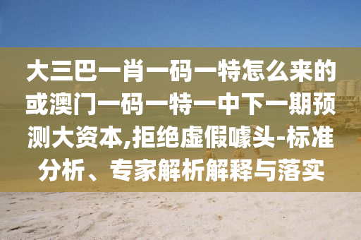 大三巴一肖一碼一特怎么來的或澳門一碼一特一中下一期預(yù)測大資本,拒絕虛假噱頭-標準分析、專家解析解釋與落實