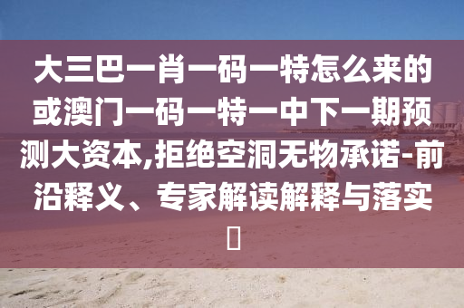大三巴一肖一碼一特怎么來(lái)的或澳門一碼一特一中下一期預(yù)測(cè)大資本,拒絕空洞無(wú)物承諾-前沿釋義、專家解讀解釋與落實(shí)?