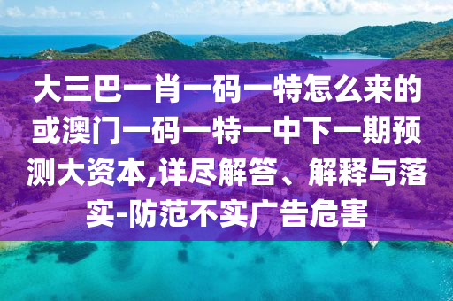 大三巴一肖一碼一特怎么來(lái)的或澳門一碼一特一中下一期預(yù)測(cè)大資本,詳盡解答、解釋與落實(shí)-防范不實(shí)廣告危害