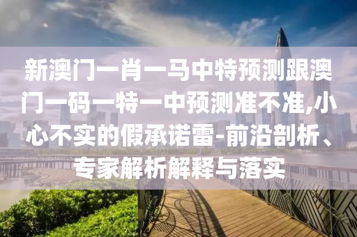 新澳門一肖一馬中特預測跟澳門一碼一特一中預測準不準,小心不實的假承諾雷-前沿剖析、專家解析解釋與落實