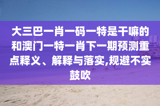 大三巴一肖一碼一特是干嘛的和澳門一特一肖下一期預(yù)測重點(diǎn)釋義、解釋與落實,規(guī)避不實鼓吹