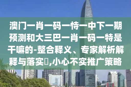 澳門一肖一碼一恃一中下一期預(yù)測和大三巴一肖一碼一特是干嘛的-整合釋義、專家解析解釋與落實(shí)?,小心不實(shí)推廣策略
