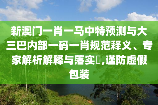 新澳門(mén)一肖一馬中特預(yù)測(cè)與大三巴內(nèi)部一碼一肖規(guī)范釋義、專(zhuān)家解析解釋與落實(shí)?,謹(jǐn)防虛假包裝