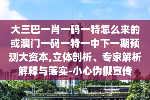 大三巴一肖一碼一特怎么來的或澳門一碼一特一中下一期預(yù)測大資本,立體剖析、專家解析解釋與落實(shí)-小心偽假宣傳