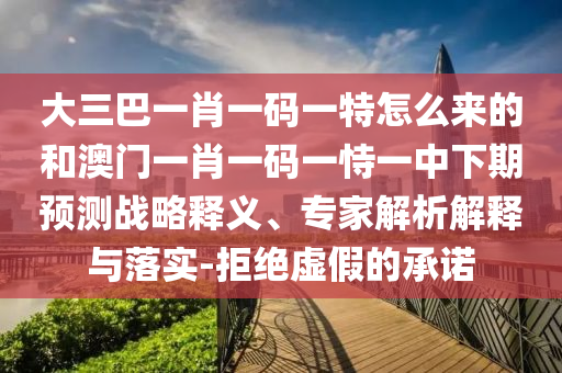 大三巴一肖一碼一特怎么來(lái)的和澳門(mén)一肖一碼一恃一中下期預(yù)測(cè)戰(zhàn)略釋義、專(zhuān)家解析解釋與落實(shí)-拒絕虛假的承諾