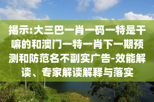 揭示:大三巴一肖一碼一特是干嘛的和澳門一特一肖下一期預(yù)測和防范名不副實廣告-效能解讀、專家解讀解釋與落實