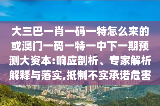 大三巴一肖一碼一特怎么來的或澳門一碼一特一中下一期預(yù)測大資本:響應(yīng)剖析、專家解析解釋與落實,抵制不實承諾危害